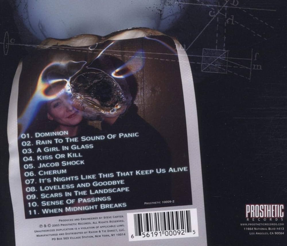 A SCENE ×HIMAA HIMSA - Courting Tragedy & Disaster - Amazon.com Music